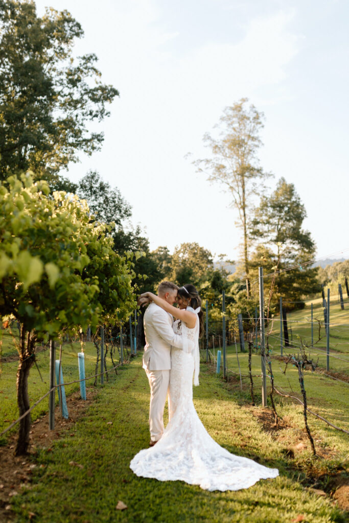 bride and groom wedding portraits at Blue Mountain Vineyards
